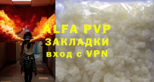 крисы Дмитров