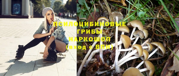 кокаин премиум Пересвет