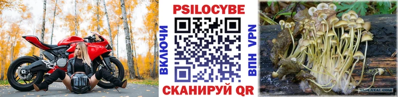 omg зеркало  где купить наркоту  Себеж  Псилоцибиновые грибы GOLDEN TEACHER 